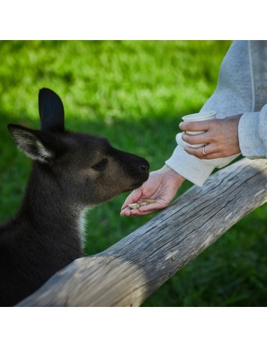 MAZURI - Petting Zoo Diet