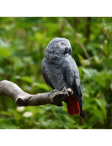 MAZURI - Large Bird Diet - 11,33 kg