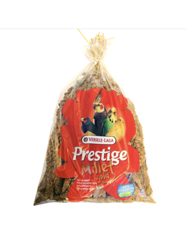 Millet Jaune Grappe