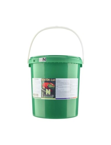 Lori - 6 kg