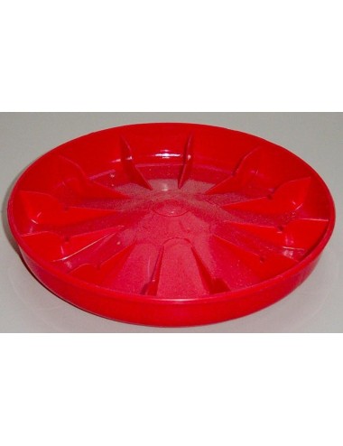 Assiette 1er age plastique