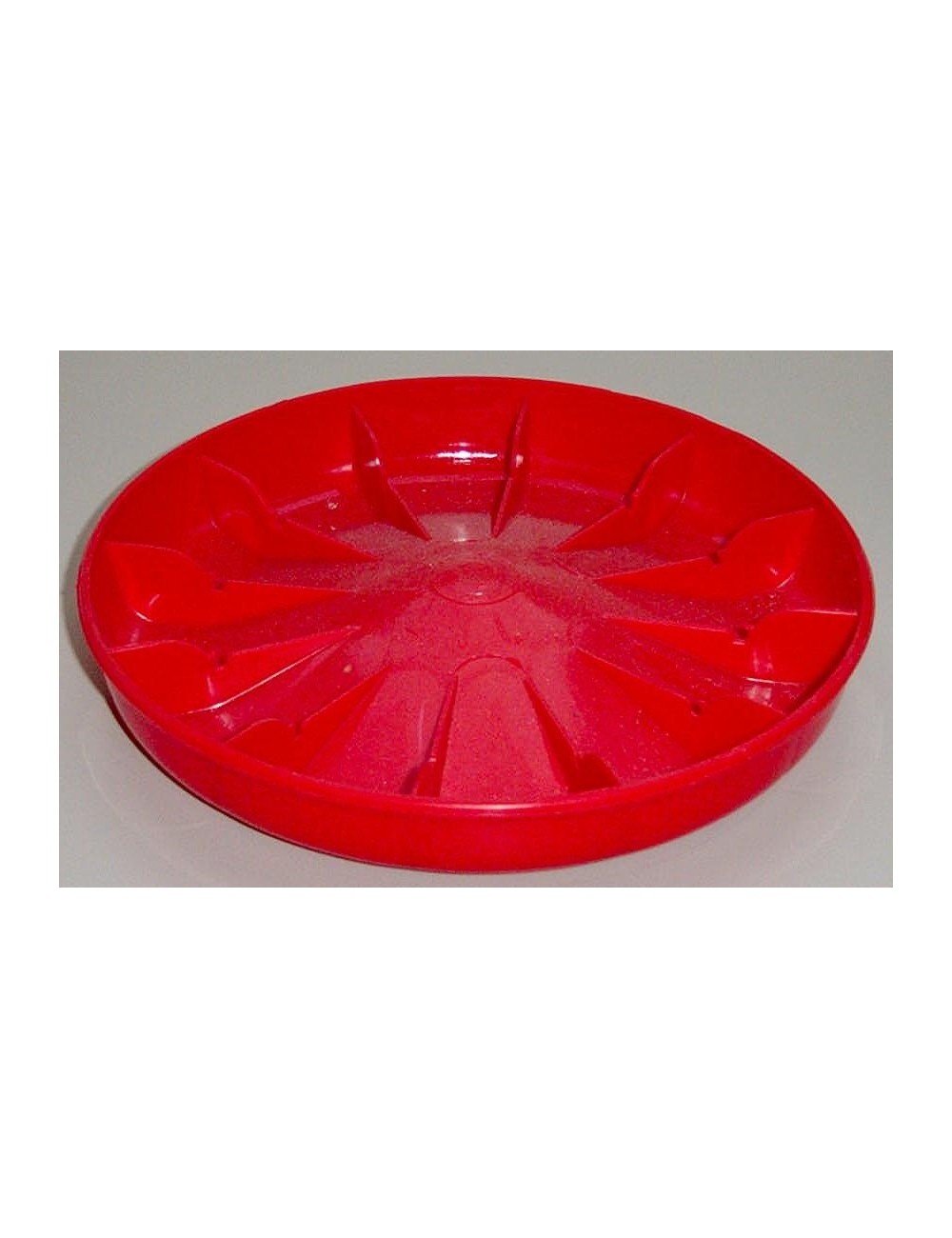 Assiette 1er age