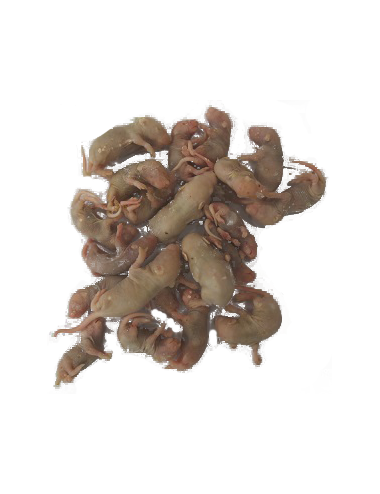 Souriceau - IQF - 2/4 g