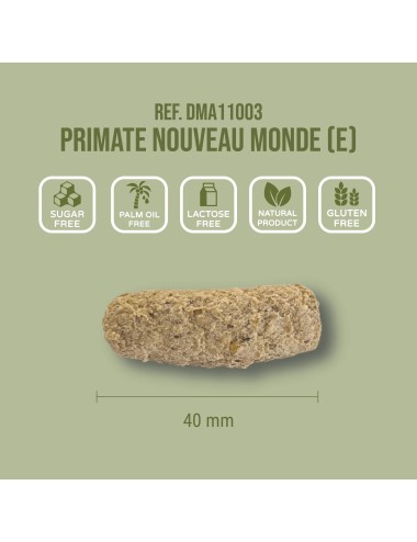 SAINT LAURENT - Primate Nouveau Monde (E)