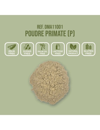 SAINT LAURENT - Alimento en polvo Primate (P)