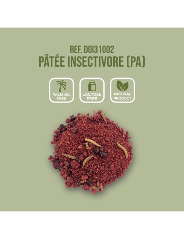 SAINT LAURENT - Pâtée Insectivore (PA)