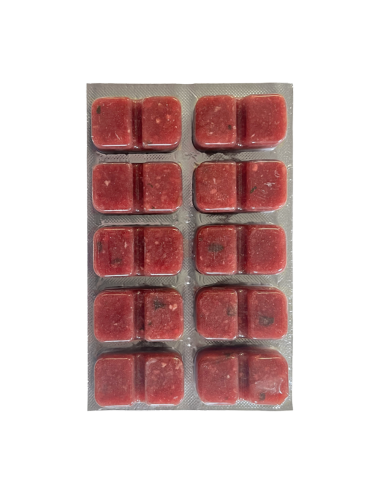 RUTO - Discus Food - Bloc - 20x100 g