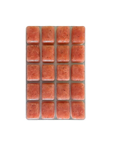 RUTO - Krill Pacifica - Bloc - 20x100 g