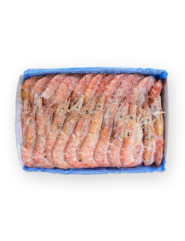 Whole raw shrimps - Block - 20/30 ppk