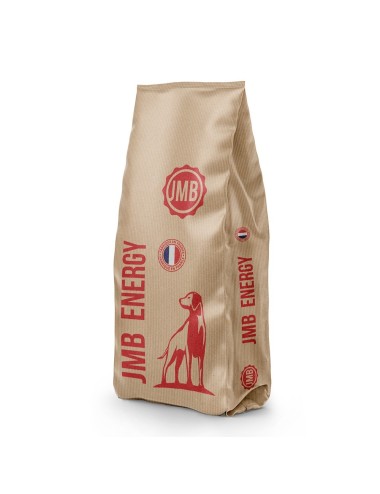 JMB - Chien Energy