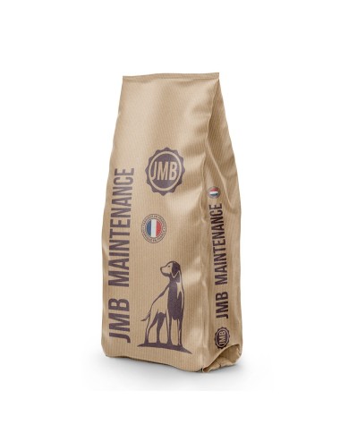 JMB - Chien Maintenance