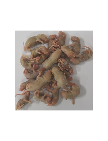 Souriceau - IQF - 1/3 g