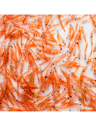 RUTO - Krill Superba - Bloc - 20x100 g