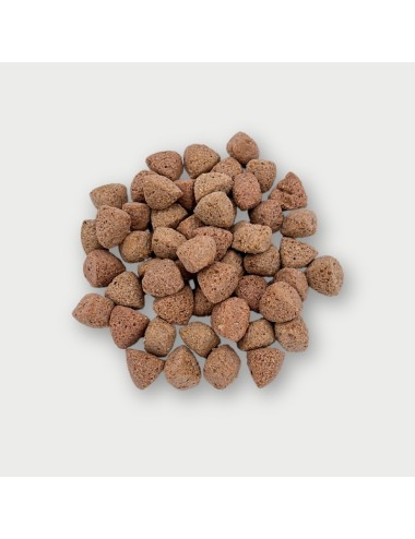 SAINT LAURENT - Primate Snack (E)