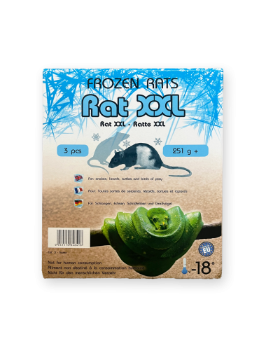 SAINT LAURENT - Rat - IQF - +251 g
