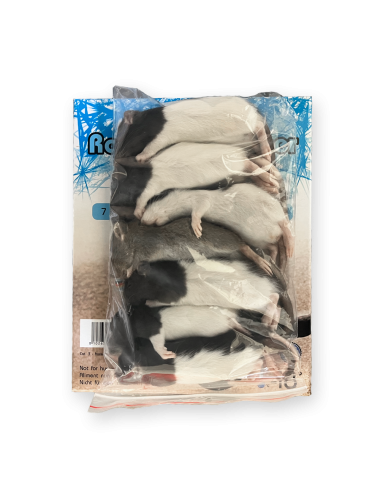 SAINT LAURENT - Rat - IQF - 26/50 g