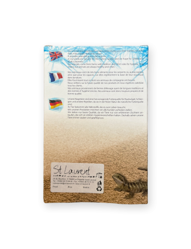 SAINT LAURENT - Mouse - IQF - 7/10 g