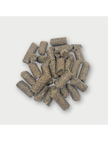 SAINT LAURENT - Elephant Vitamin E+ (P)