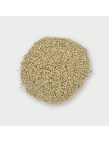 SAINT LAURENT - Red Panda Powder (Po)