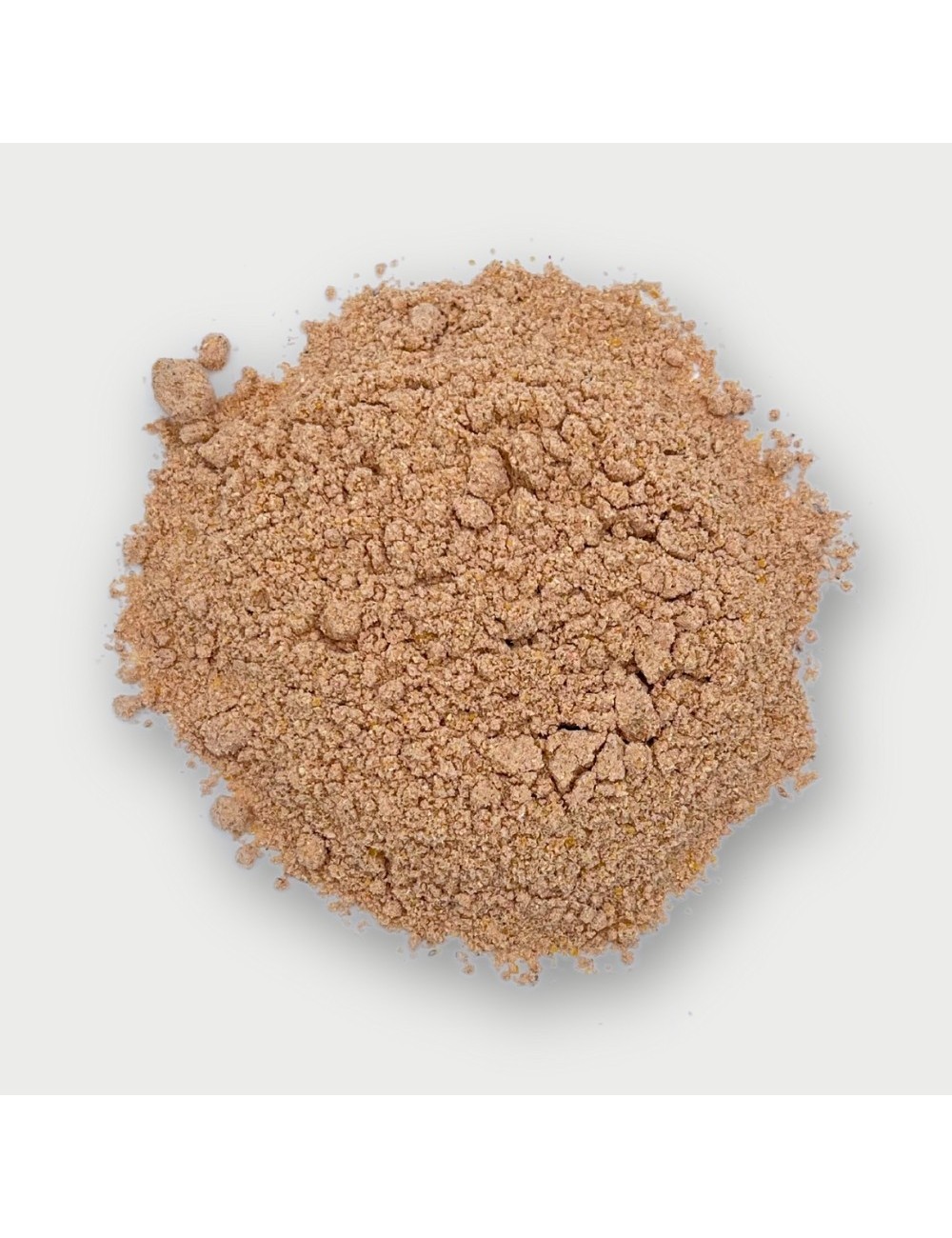 SAINT LAURENT - Polvo Tucán & Calao (P)