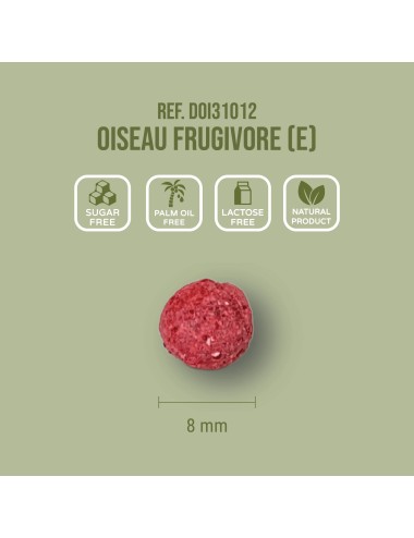 SAINT LAURENT - Oiseau Frugivore (E)