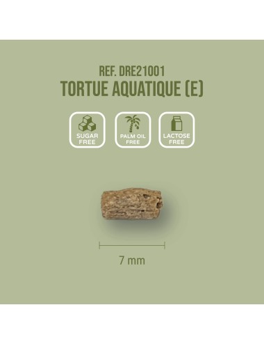 SAINT LAURENT - Tortue Aquatique (E)