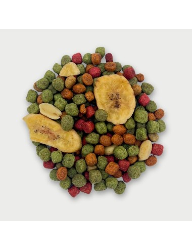 SAINT LAURENT - Perroquet Fruit (E) - 3 kg