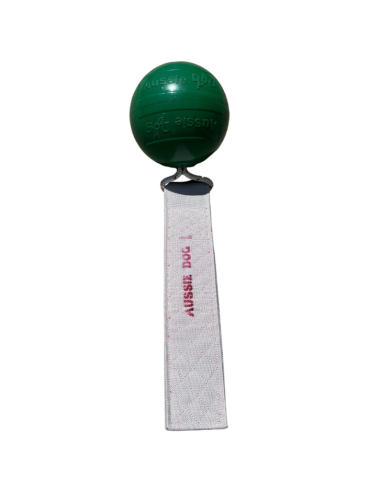 AUSSIE DOG - Pings Thong Ball - ZUR1