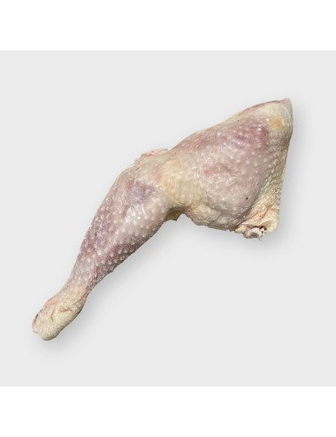SAINT LAURENT - Hen - Leg - IQF