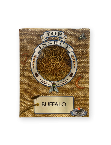 Larves de buffalo - IQF