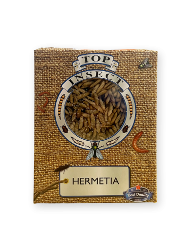 Larves hermetia - IQF