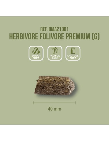 SAINT LAURENT - Herbivore Folivore Premium (G)