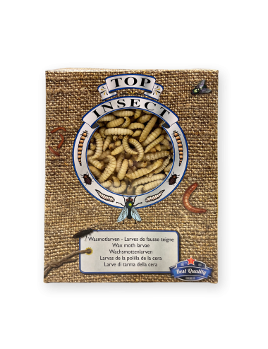 Larves de teigne de ruche - IQF