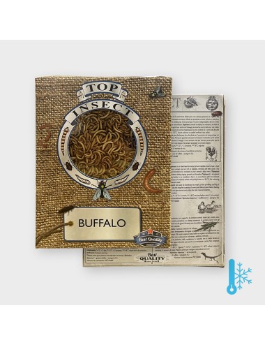 Larves de buffalo - IQF