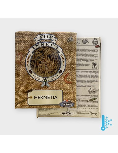 Larves hermetia - IQF
