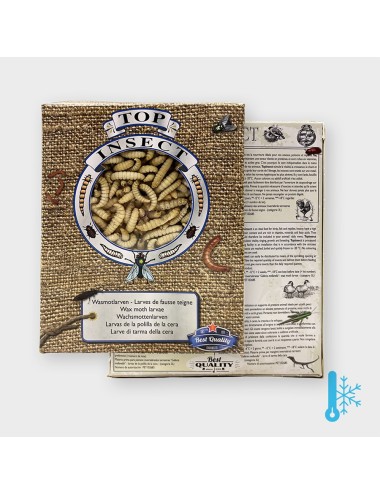 Larves de teigne de ruche - IQF