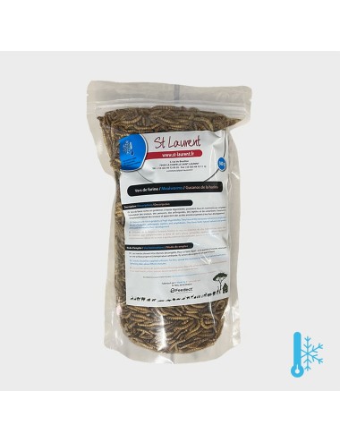 Vers de farine - IQF - 500 g