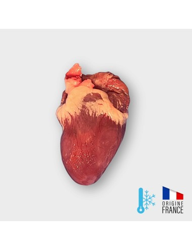 SAINT LAURENT - Dinde - Coeur - 10x2,5 kg