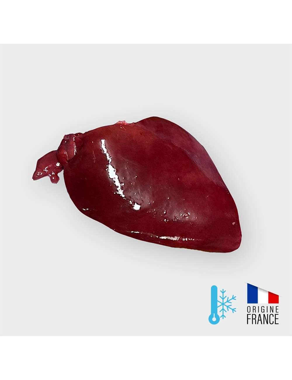 SAINT LAURENT - Dinde - Foie - 20x500 g