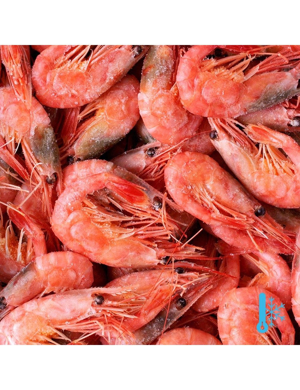 Crevettes cuites entières - IQF - 90/120 ppk