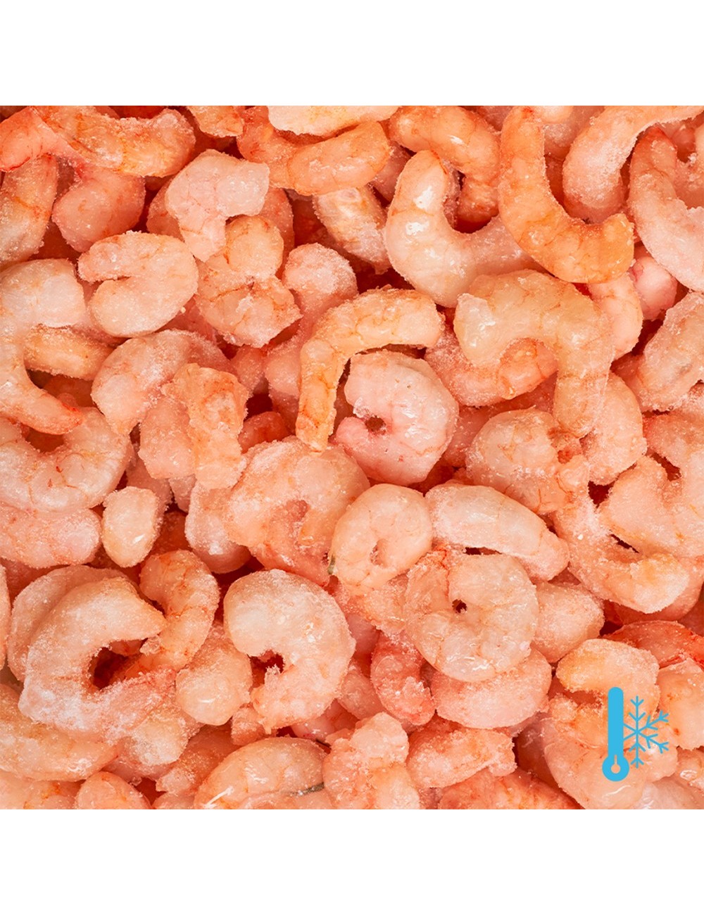 Crevettes cuites décortiquées - IQF - 300/500 ppk