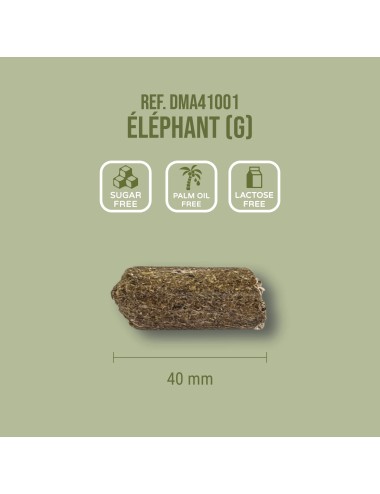 SAINT LAURENT - Elefante Vitamina E+ (G)