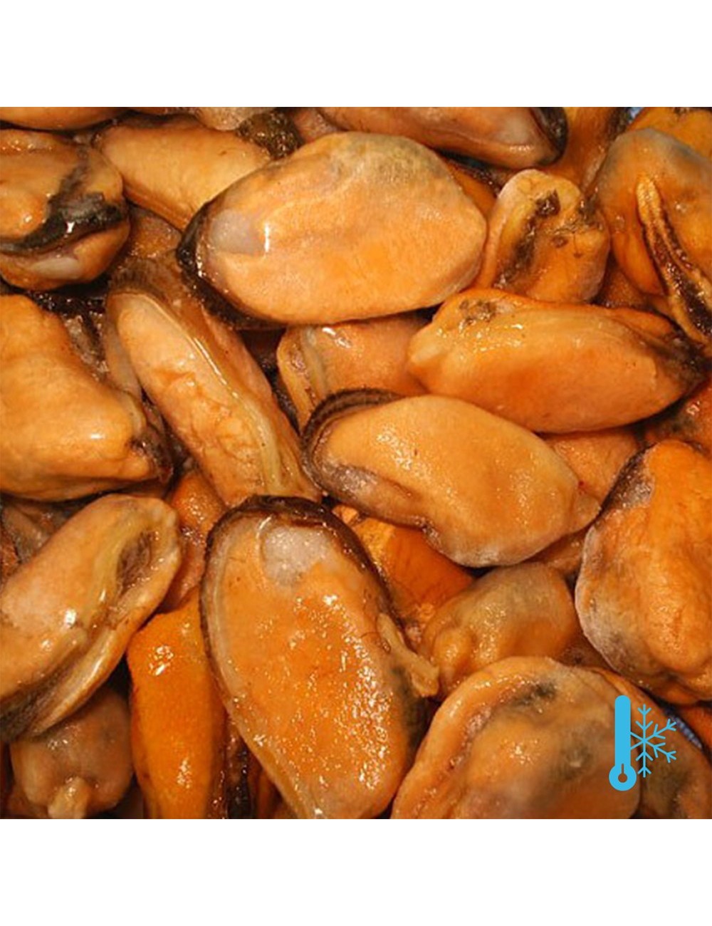 Carnes mejillones rotos - IQF - 300/500 ppk