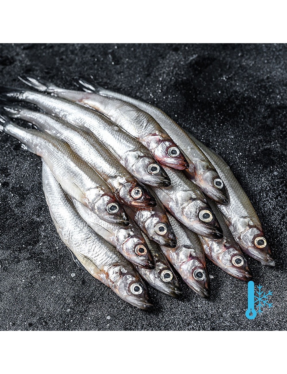 Capelin - Bloc - 18-20 cm - 25/35 ppk
