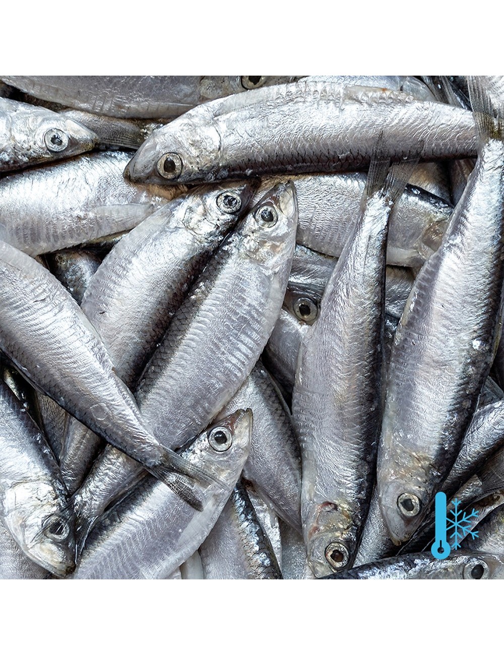 Sprat - Block -  8/12 cm - 80/100 ppk