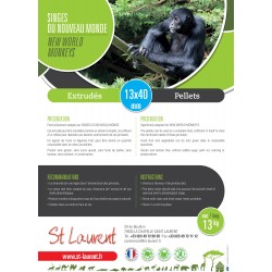 ST LAURENT -  Primate Nouveau Monde