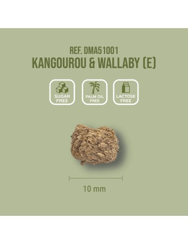 SAINT LAURENT - Kangourou & Wallaby (E)