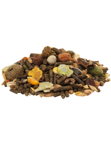 VERSELE - Country's best Cuni Fit Muesli