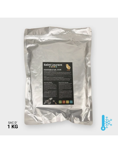 Pollito de un día - 1 kg | Saint Laurent