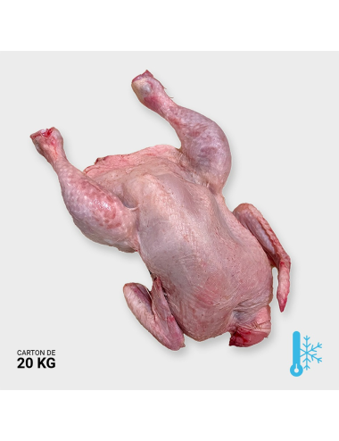 Poulet vidé - 20 kg | Saint Laurent